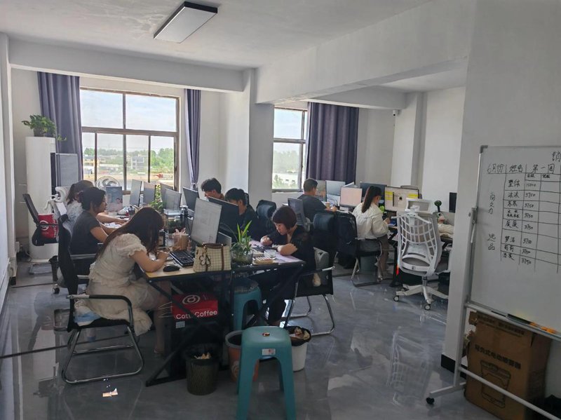 电子商务运营：把握时代的脉搏
